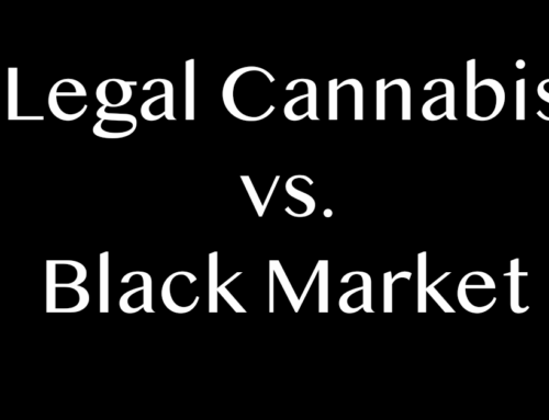 Legal Cannabis vs. Black Market — What’s the Difference?