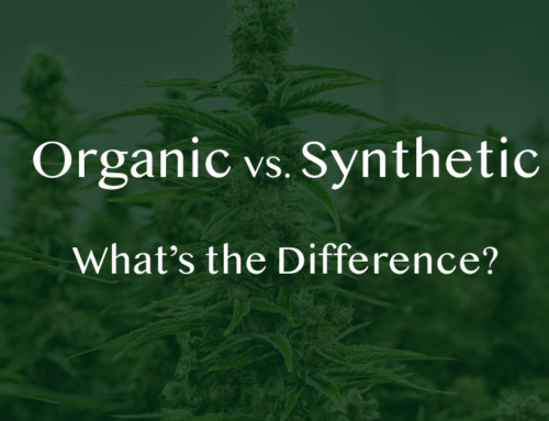 Organic vs. Synthetic Nutrients – What’s the Difference?